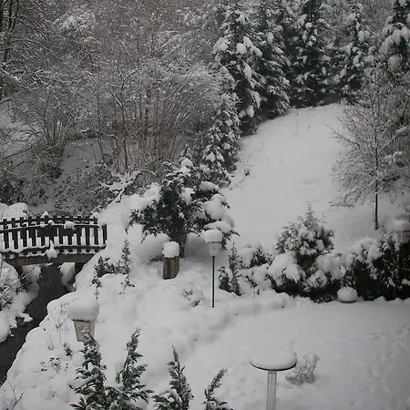 Huschens 2*